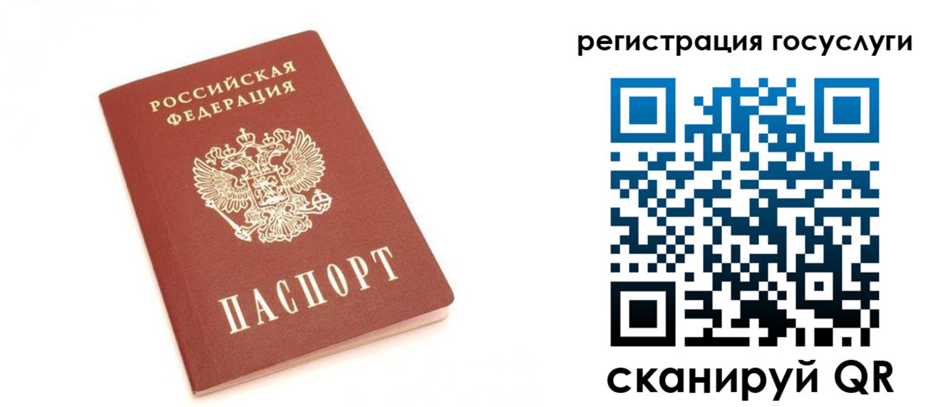 прописка для школы в Омской области